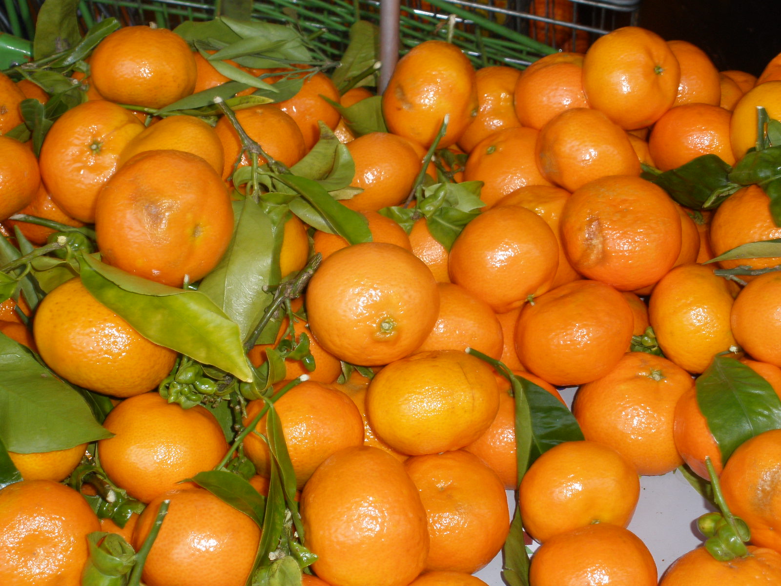 Spanish Clementines