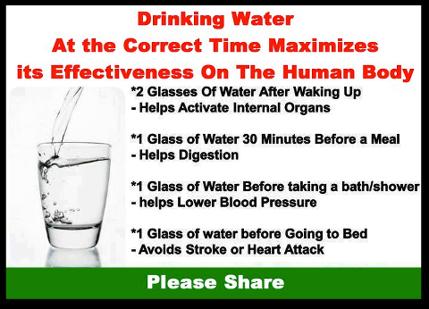 Water Your Body….